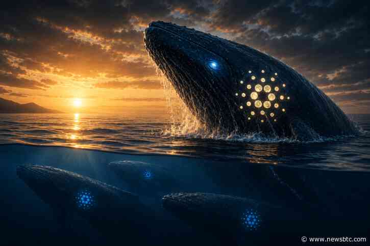 Dormant Cardano Whales Suddenly Come Alive: Is A Turning Point Near?