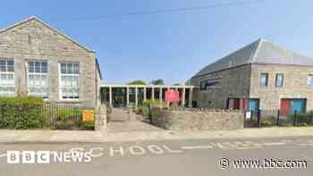 School closure will cause 'immeasurable harm'