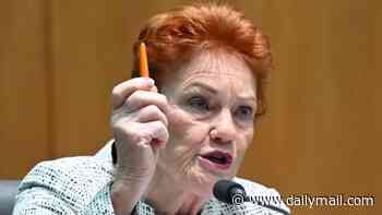 Pauline Hanson hits back with proof her 'fire the liar' campaign against Albo made $2million in donations - after he hinted she was the one being dishonest