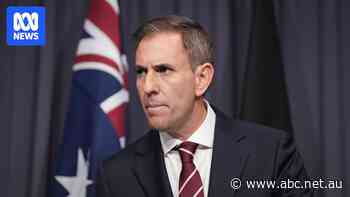 Australians face a 'binary choice' as One Nation soars, says Chalmers