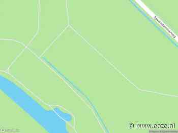 Brandweer met gepaste spoed naar de Spaarndammerweg in Velsen-Zuid vanwege dier(en) in nood