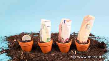 Steuer-Trick: Diese Gartenarbeiten können Sie mit bis zu 5200 Euro absetzen – doch es gibt einen Haken