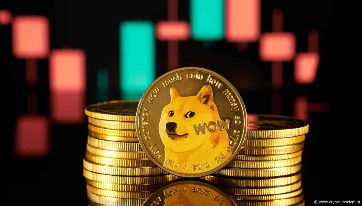 Dogecoin koers onder druk, maar grote beleggers kopen bij