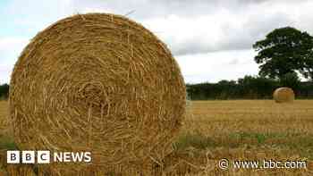 Council advised to be 'surgical' in farm estate cuts