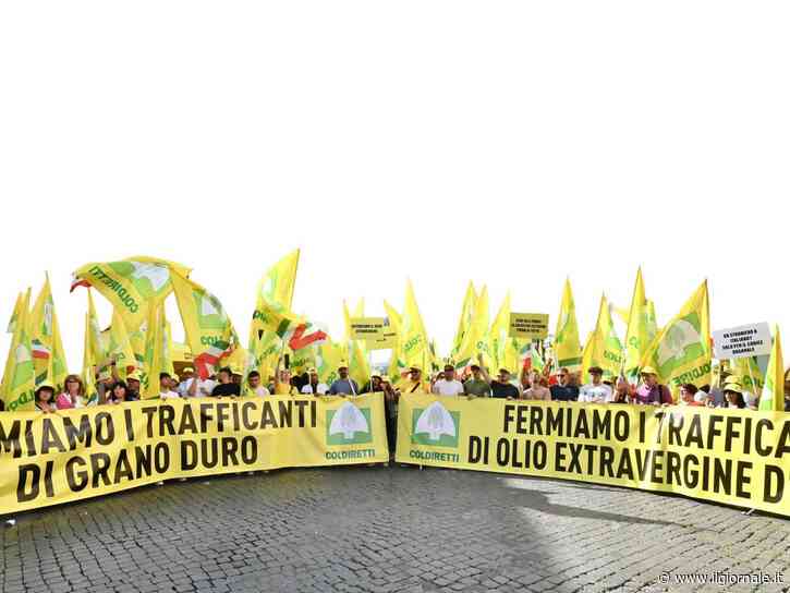 "Giù le mani da grano e olio". Coldiretti contro le speculazioni