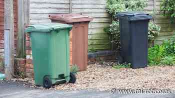 Households warned of fines if they break four rules on bin day