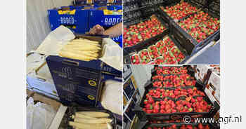 Hoogstraten-aardbeien domineren Weense markt terwijl prijzen sterk daalden door groeizaam weer