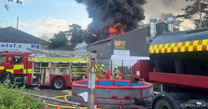Fire rips through children’s mini zoo killing every animal inside