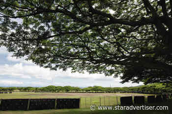 Debris site at Central Oahu park deemed safe after testing, city says