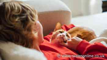 RSPCA shares 'June 15' message for anyone who wants to help animals in need