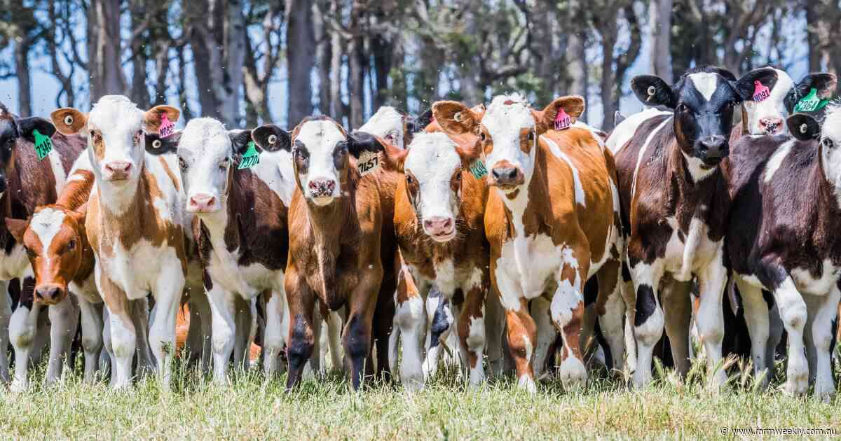 Ninety nine bottles of milk on the wall: is WA's dairy concentration of concern?