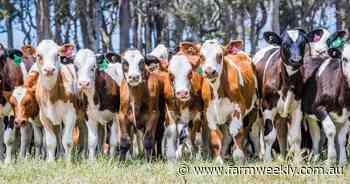 Ninety nine bottles of milk on the wall: is WA's dairy concentration of concern?