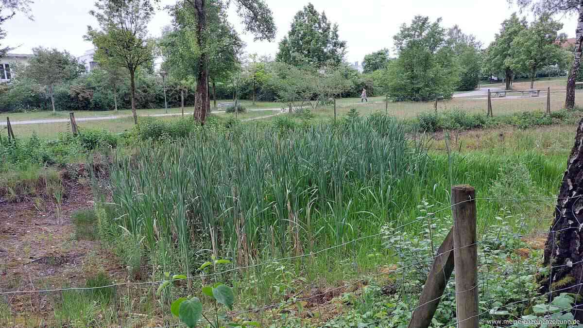 Biotop in Poing bleibt erhalten – Gemeinde spart 180.000 Euro