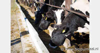 Studie wijst op scheve verdeling Europese landbouwsubsidies