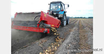 NVWA vraagt extra aandacht voor beheersing aardappelmoeheid en hygiëne bij machines