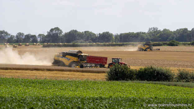 Handel raamt graanoogst Europa op bovengemiddeld