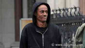 Black 16-year-old arrested for attempted murder after his suicidal mother threw herself off block of flats sues Met police