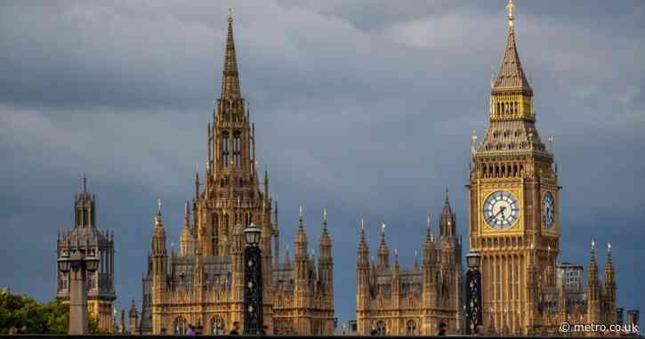 Woman arrested for trespass after hiding in Parliament toilet when tour finished