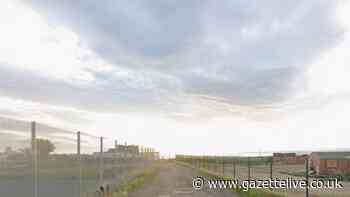 Solar panels planned for kittiwake nesting site at Hartlepool car park