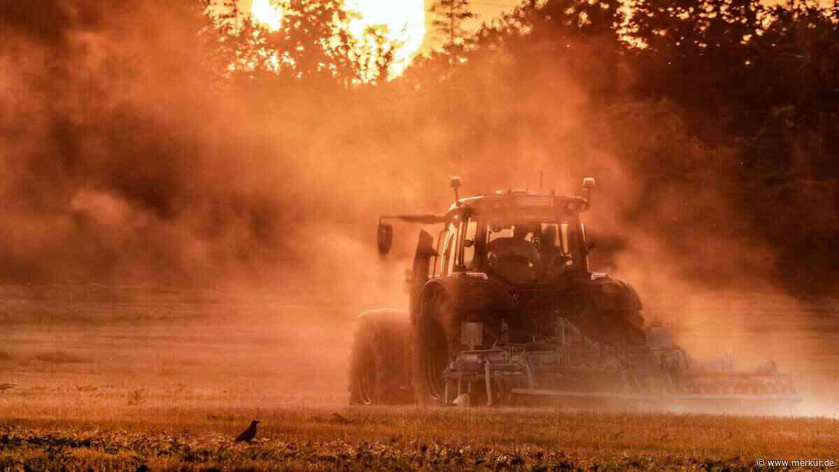 „Wenn kalt und nass der Juni war“: Bauernregel mit klarer Prognose für das gesamte Jahr