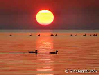 Heat warning continues across Windsor-Essex as temperatures climb