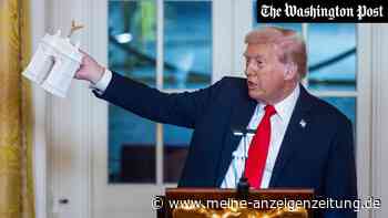 Triumphbogen in Rekordzeit: Trump macht bei 76-Meter-Projekt Tempo