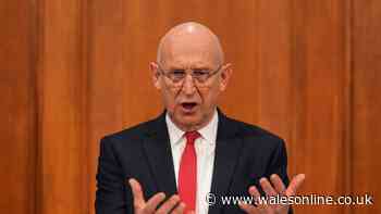 John Healey resigns as Defence Secretary over UK 'readiness to fight' fears