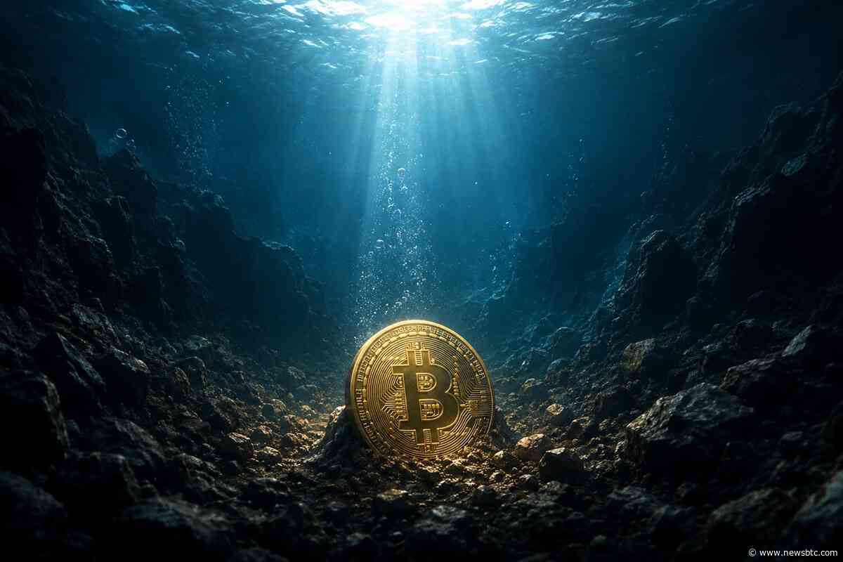 Why The Bitcoin Price Could Mark A Generational Bottom And Rise Over 200%