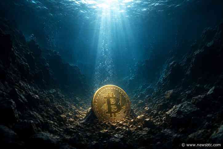 Why The Bitcoin Price Could Mark A Generational Bottom And Rise Over 200%