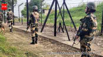 ‘Human shield’ on India border: Bangladesh opposition to launch protest over alleged 'push-ins'