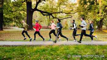 UK runners admit strapping fitness trackers to their dogs to boost step count