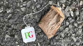Council warden fines man £200 for 'accidentally' dropping teabag from his McDonald's tea