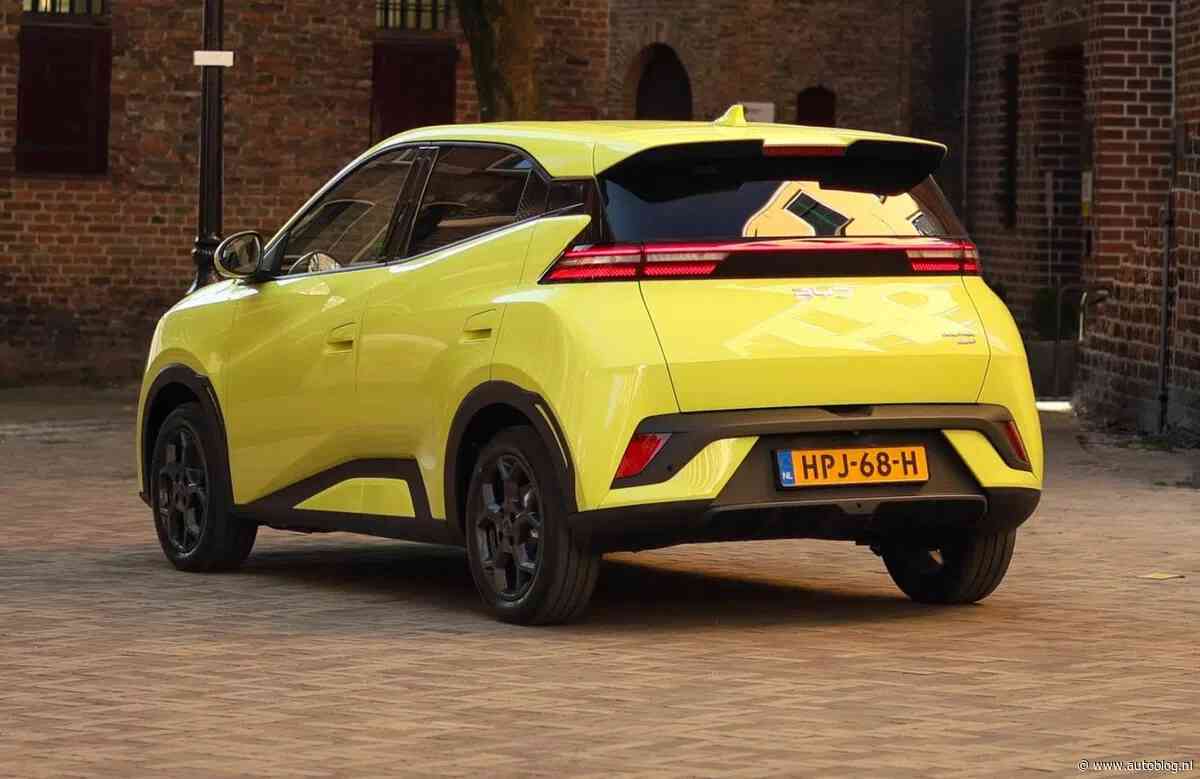 Grootste EV-merk ter wereld: ‘Binnen 5 jaar de grootste autofabrikant’