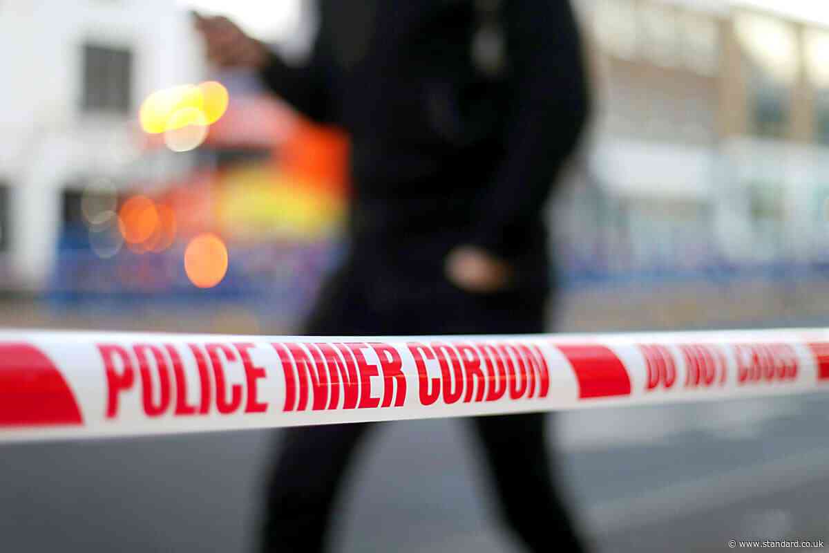 London's week of bloodshed: Fourth murder probe launched in six days