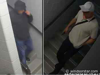 Windsor police seek help identifying burglars in east end apartment break-ins