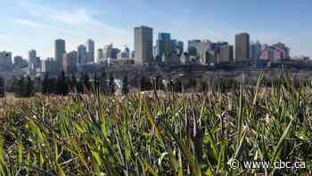 City’s new economic plan aims to tackle perception that Edmonton is ‘business unfriendly’