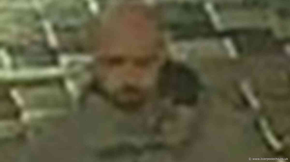 CCTV video appeal after man punched in 'unprovoked attack' near Spanish Caravan