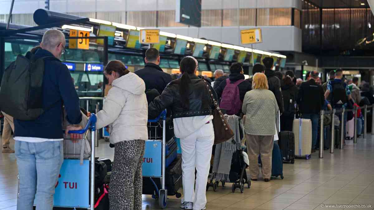 Brits could get 'temporary relief' from new EU rules over the summer holidays