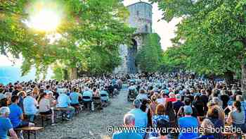 Kein Konzert im Burghof: Darum verzichtet das Nagolder Kammerorchester auf das Top-Event