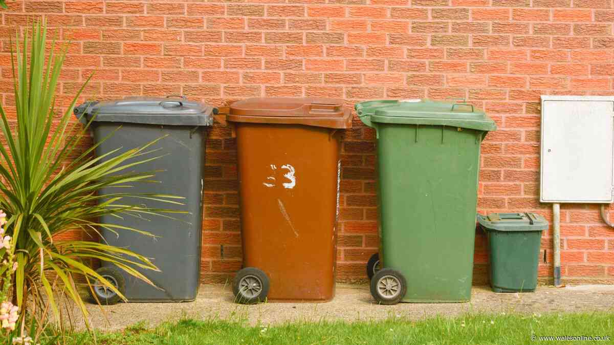 Welsh households urged to put common item in wheelie bins to stop flies this spring