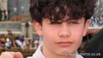 Boy, 12, died after being 'struck' by car driven by teen, court hears