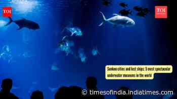 Sunken cities and lost ships: 5 most spectacular underwater museums in the world