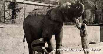 Edinburgh Zoo asks public to share memories for 110th anniversary archive project