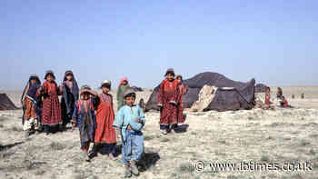 Sold for Survival: Afghans Are Selling Their Child Daughters for $3,200 as Famine Hits Majority of Population