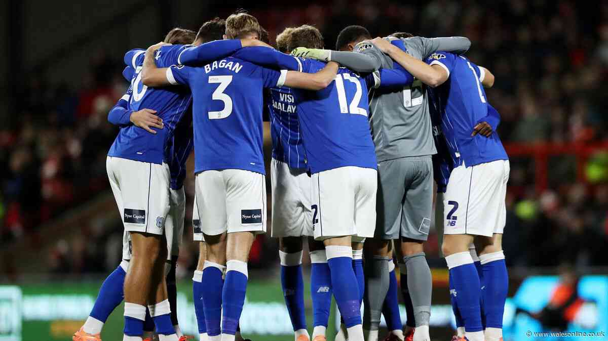 Four players sign, transfer problem solved, deadwood axed - Cardiff City's dream summer