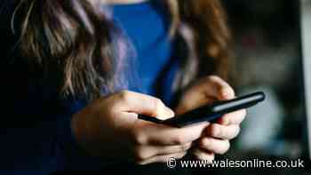 Woman's campaign of harrassment saw her ring ex 750 times in a fortnight