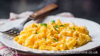 Gordon Ramsay says scrambled eggs are better if you add 1 ingredient when cooking