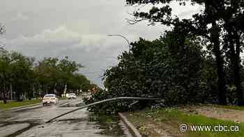 Tornado warnings risk being ignored if issued too broadly, Manitobans say
