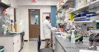 Emory University researchers working to make childhood leukemia treatment less toxic
