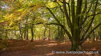 'Pretty walk' near Liverpool offers gorgeous views and sweet treat at the end